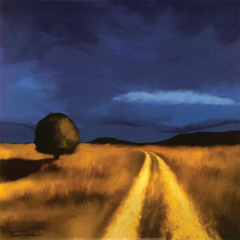 
"The Way Home" by Tandi Venter
